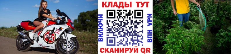 Где продают наркотики Зерноград Амфетамин  блэк спрут зеркало  МЕФ  Конопля  ГАШИШ  A-PVP  Кокаин 